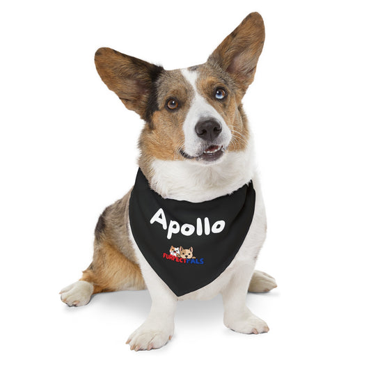 Apollo Pet Bandana Collar