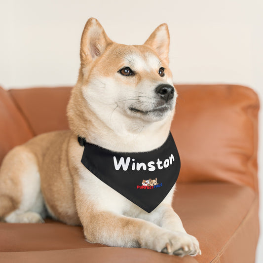 Winston Pet Bandana Collar