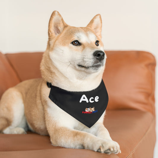Ace  Pet Bandana Collar