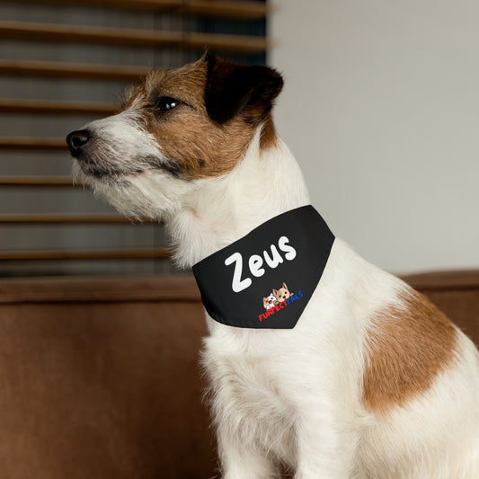 Zeus Pet Bandana Collar