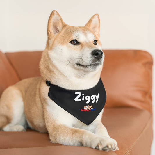 Ziggy Pet Bandana Collar