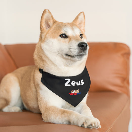 Zeus Pet Bandana Collar